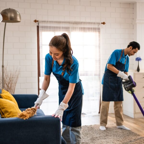 Furnished Premium Home Cleaning Service